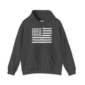 America Loves Pickleball Hoodie
